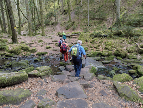 Wanderung mit Übernachtung, 
Monbachtal Bad Liebenzell
13. April 2025